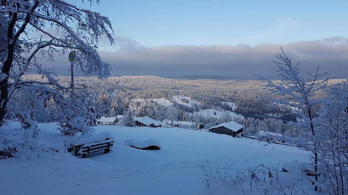 Winterwohnung Almberg Міттерфірміанстройт Екстер'єр фото